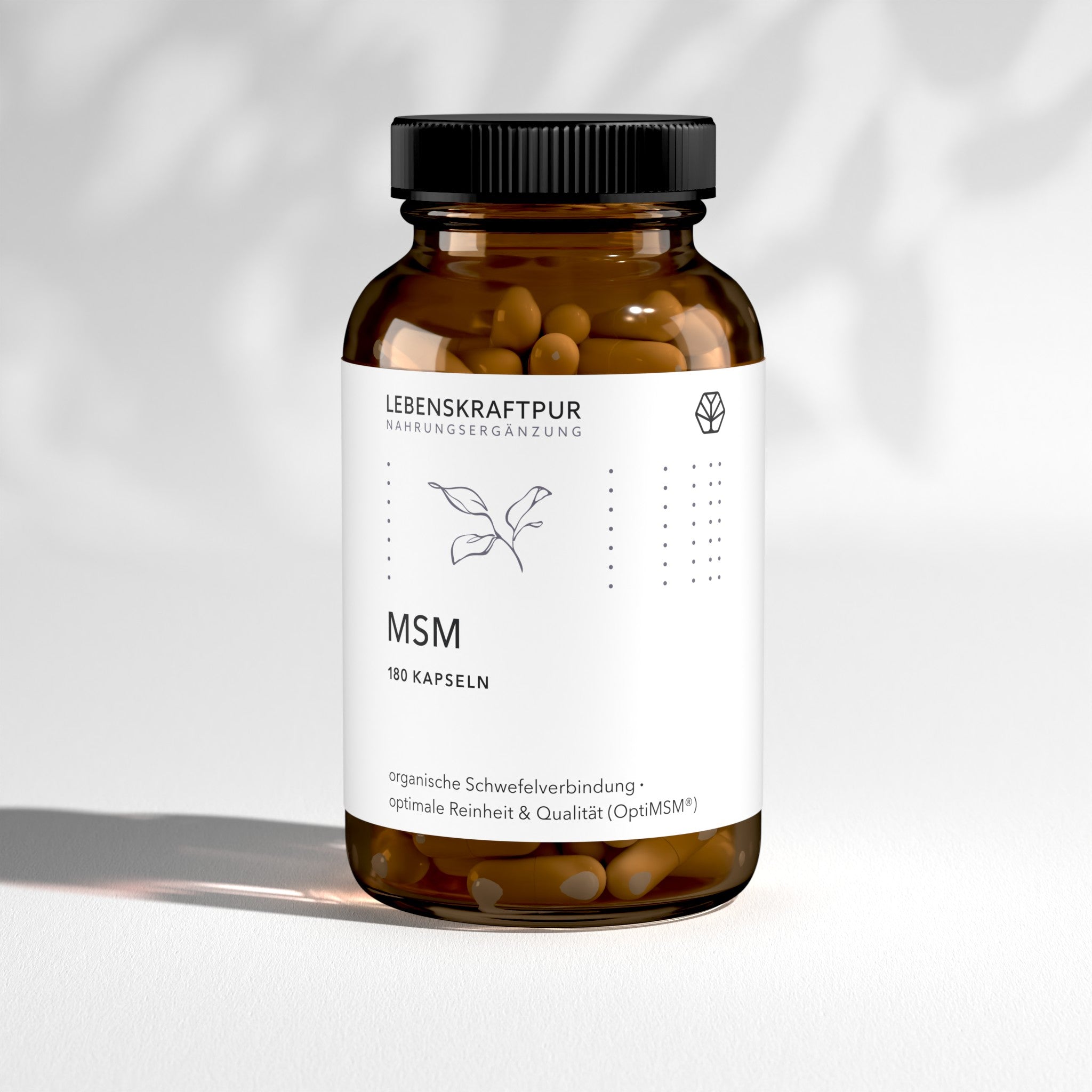 MSM Kapseln