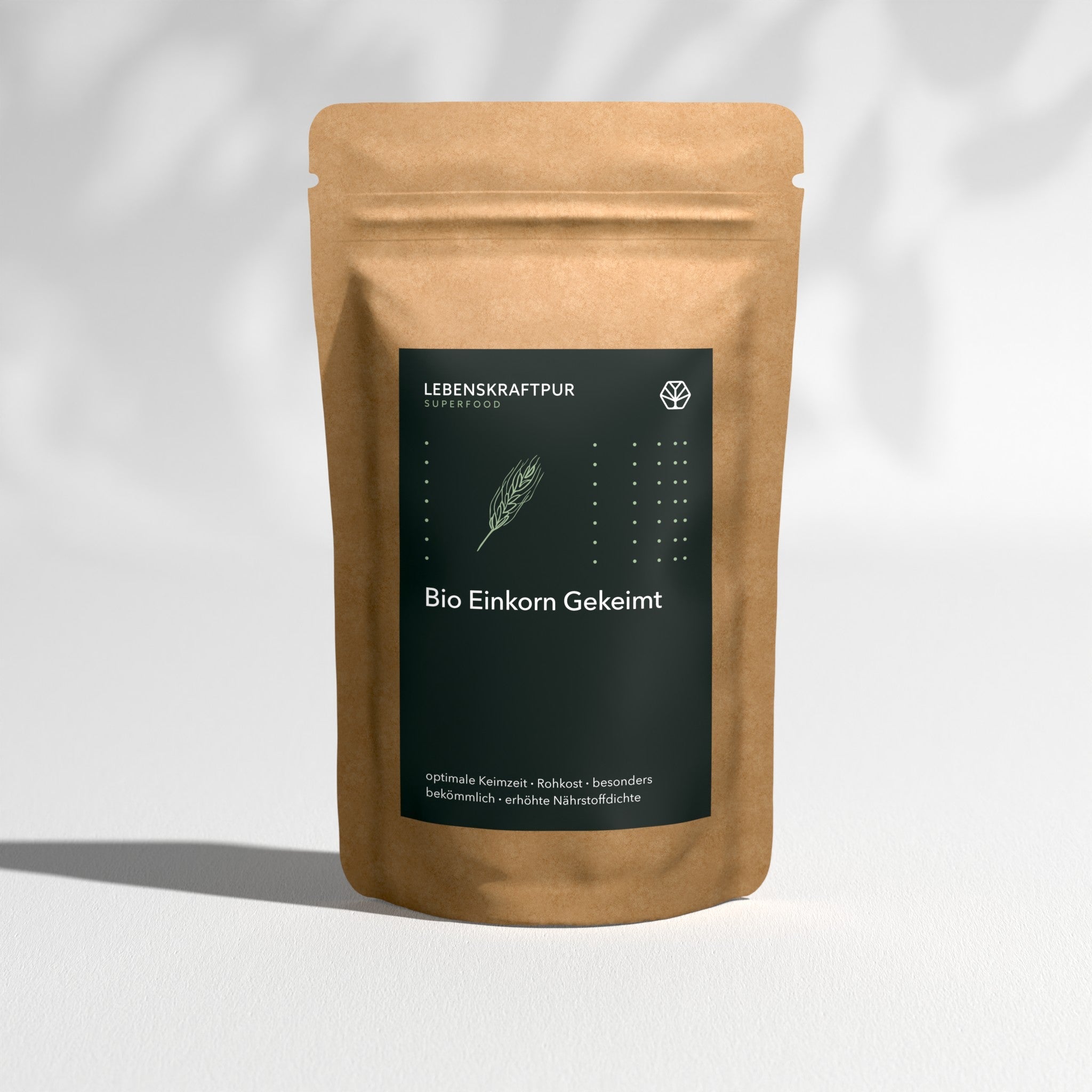 Bio Einkorn Gekeimt