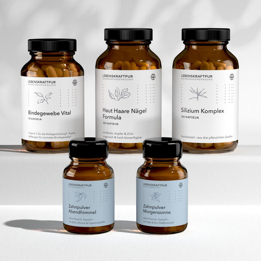 Geschenk-Box "für Sie"