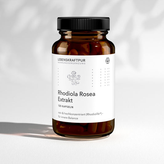 Rhodiola Rosea Extrakt Kapseln