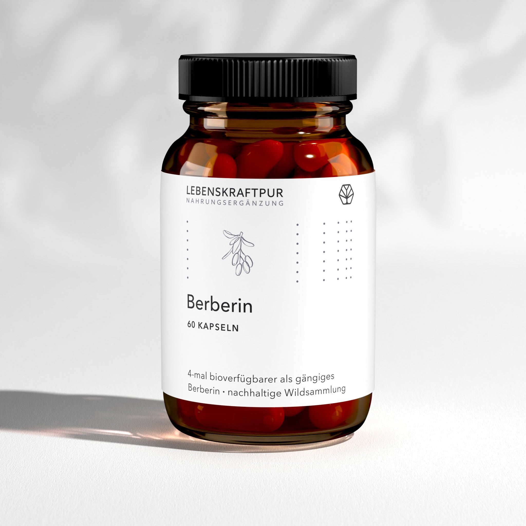 Berberin Kapseln