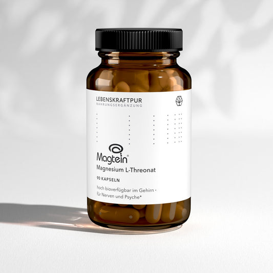 Magtein® Magnesium L-Threonat Kapseln