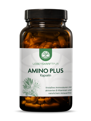Produktbild Amino Plus Kapseln