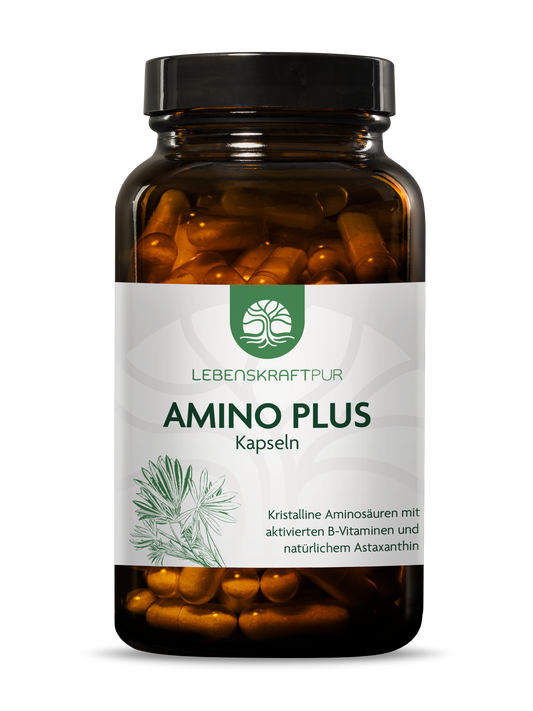 Produktbild Amino Plus Kapseln