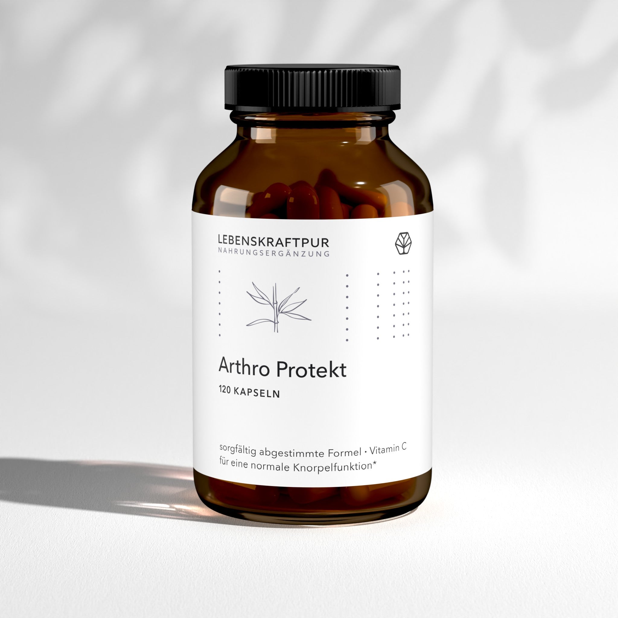 Arthro Protekt Kapseln