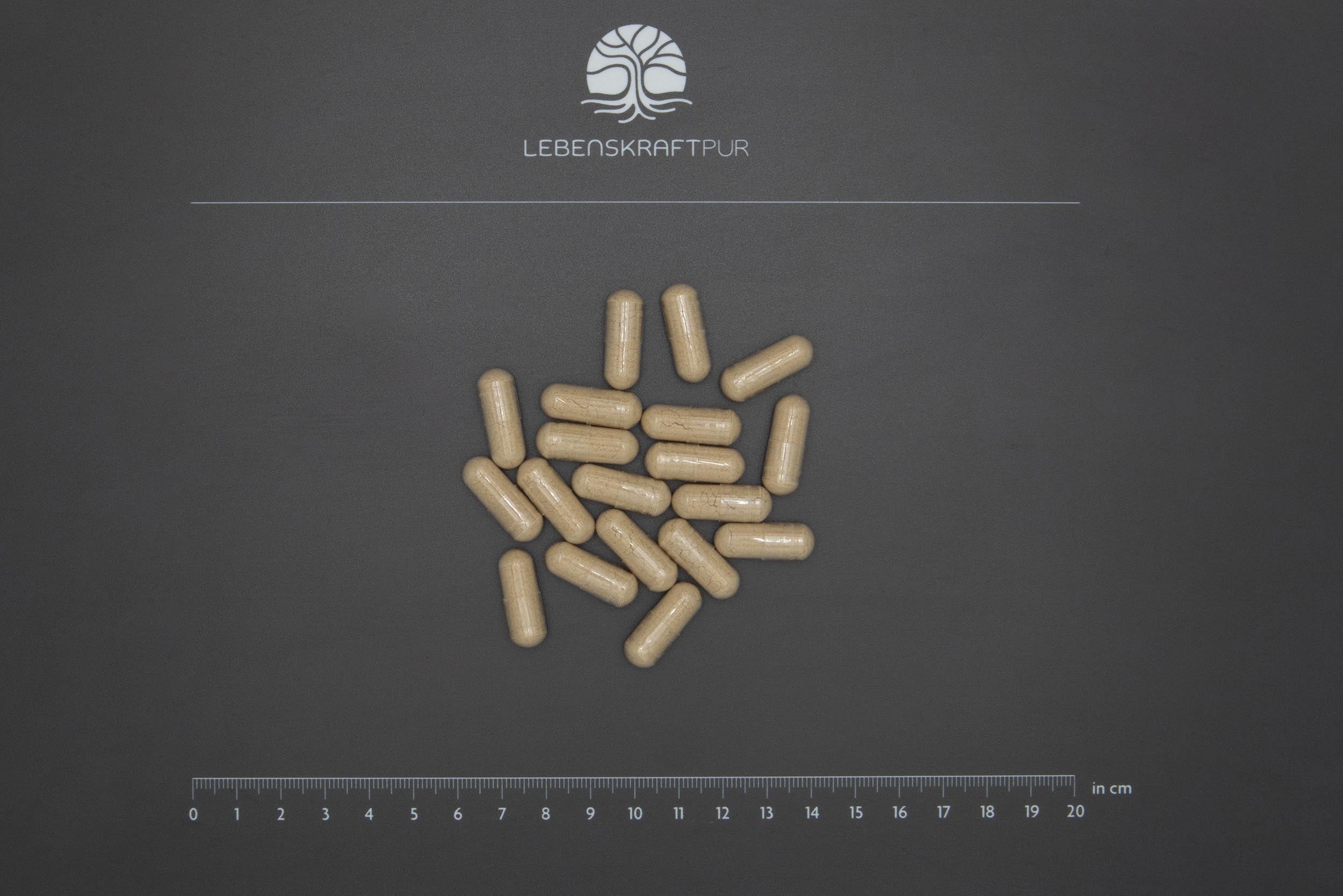 Ashwagandha Vollspektrum-Extrakt Kapseln