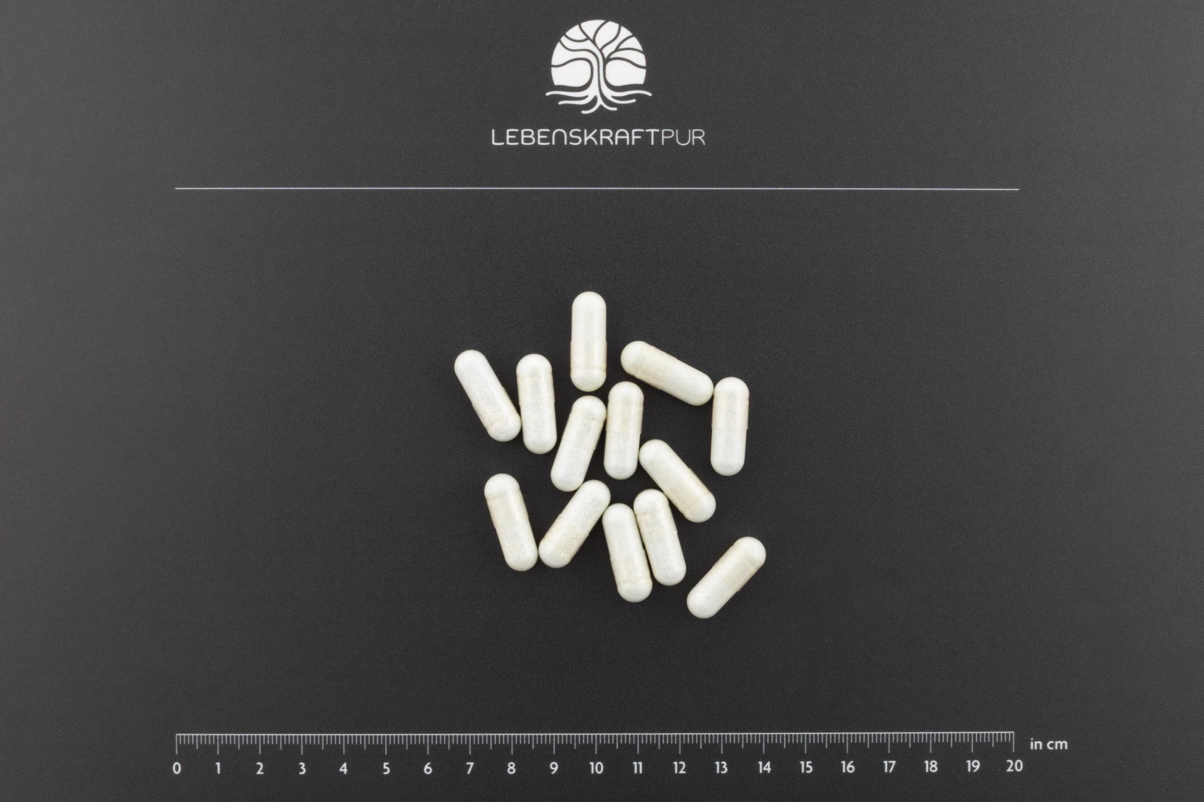 Produktbild Bindegewebe Vital Kapseln