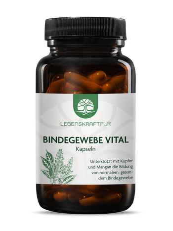 Produktbild Bindegewebe Vital Kapseln