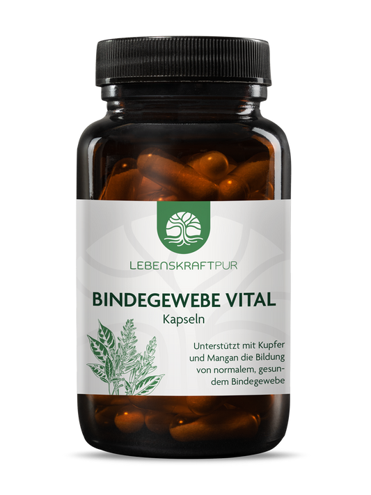 Produktbild Bindegewebe Vital Kapseln