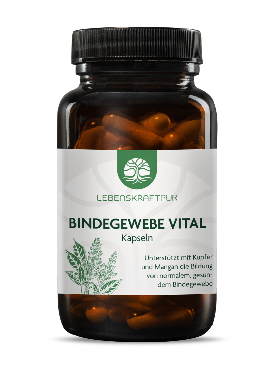 Produktbild Bindegewebe Vital Kapseln