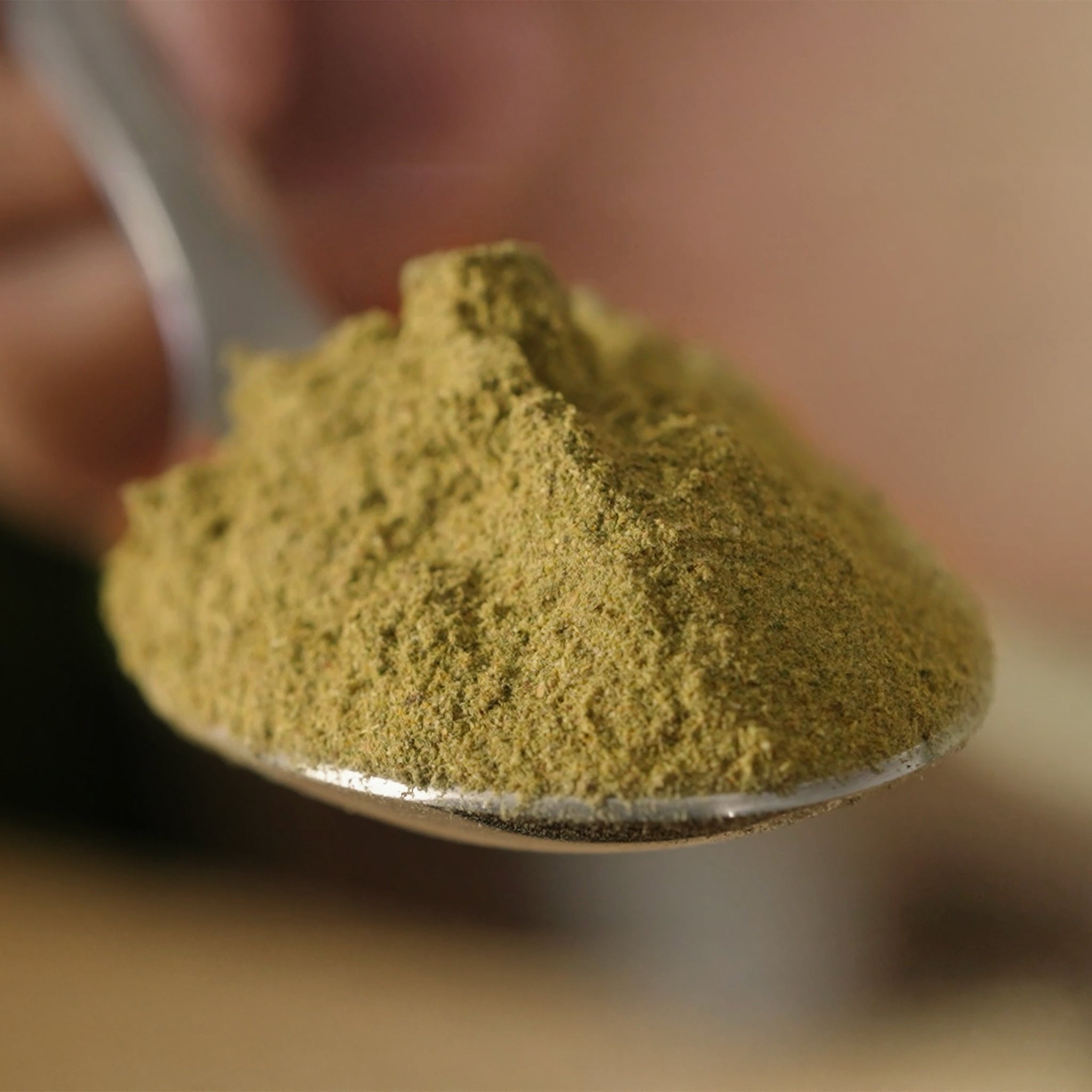 Produktbild Bio Basis Plus Pulver
