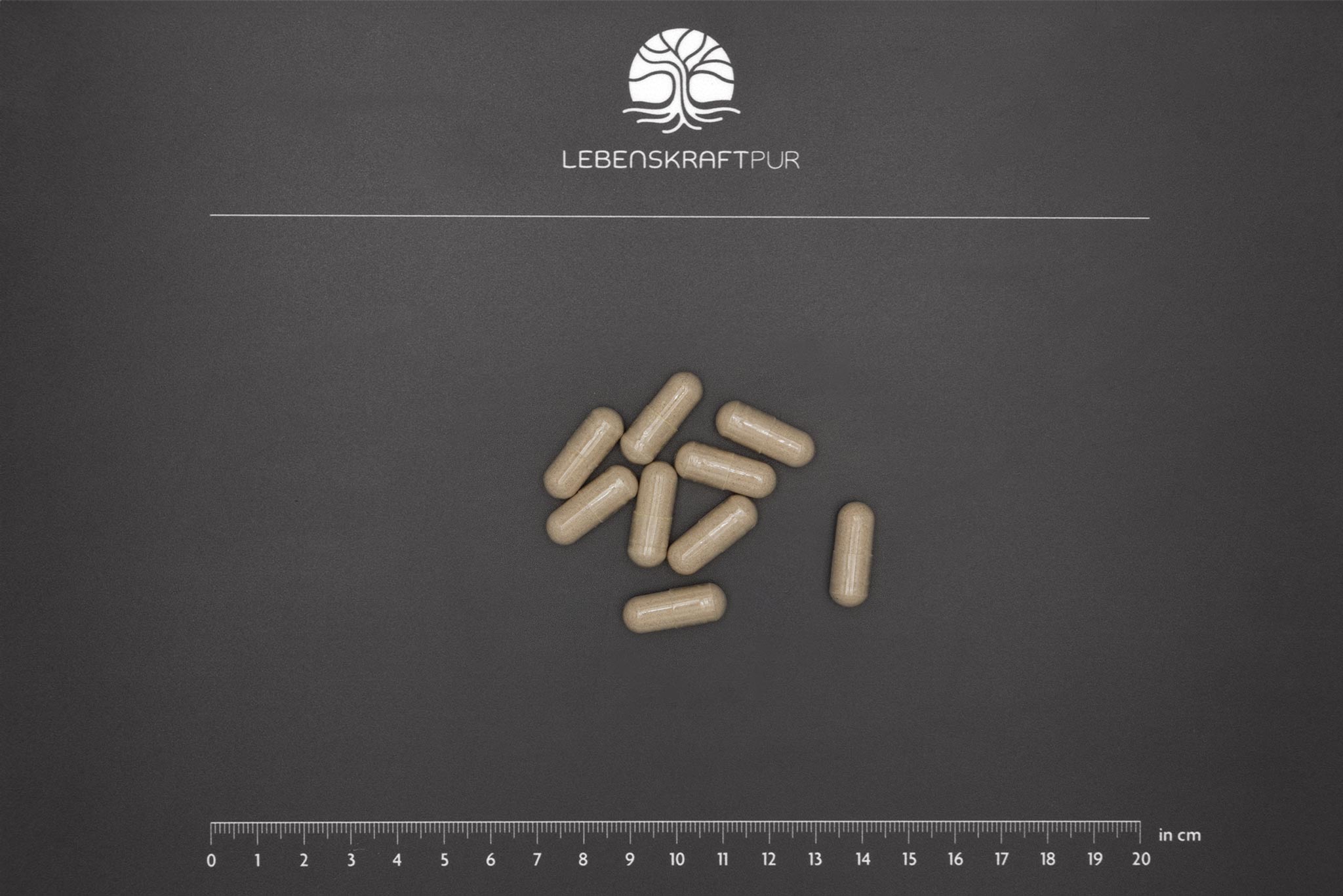 Produktbild Bio Leber Kapseln