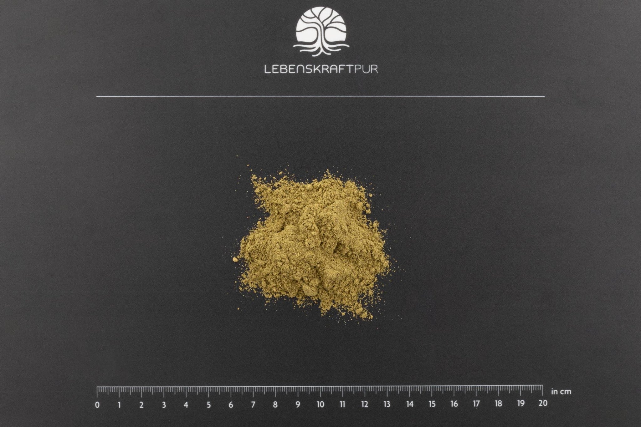 Produktbild Bio Basis Plus Pulver