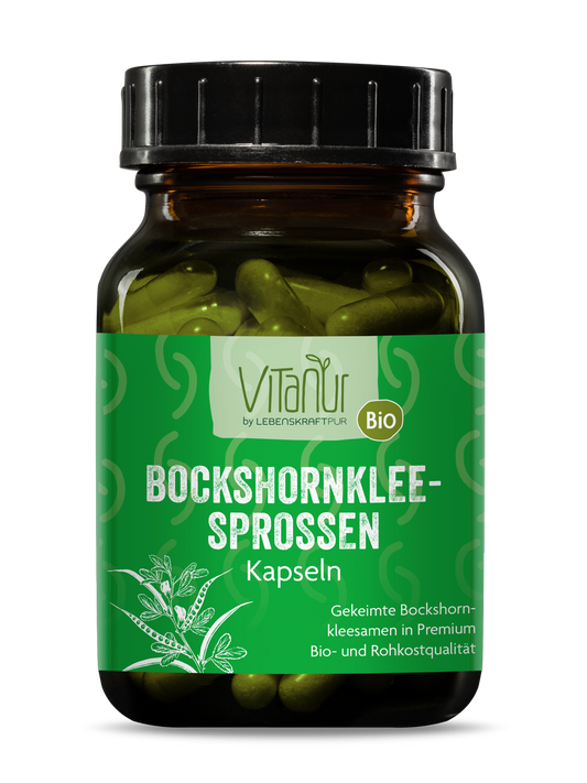 Produktbild Bio Bockshornkleesprossen Kapseln