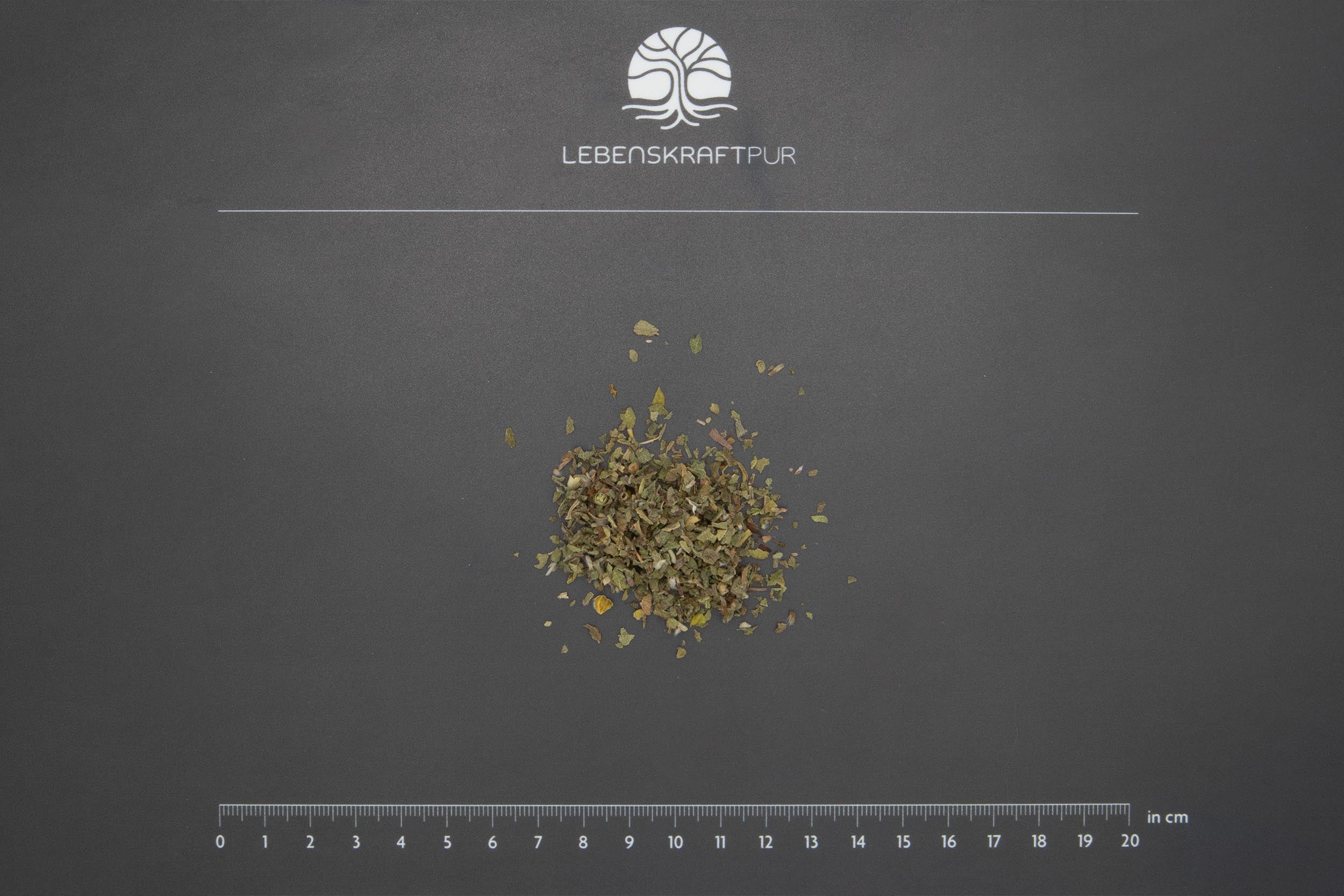 Bio Zistrosenkraut Geschnitten