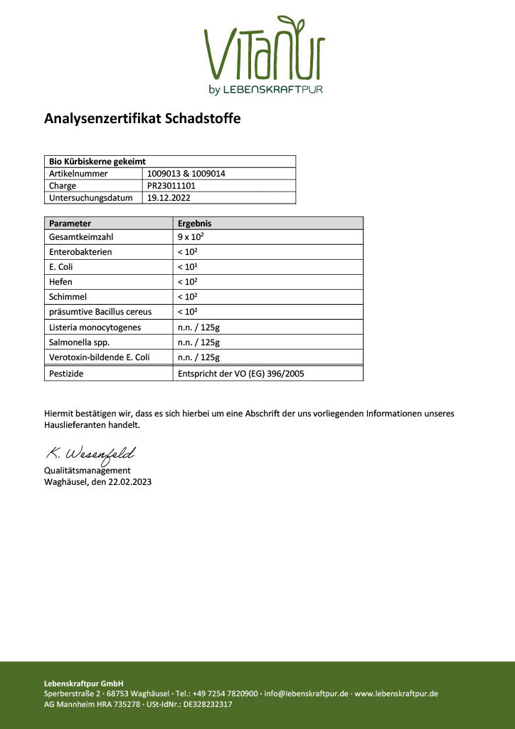Produktbild Bio Kürbiskerne Gekeimt