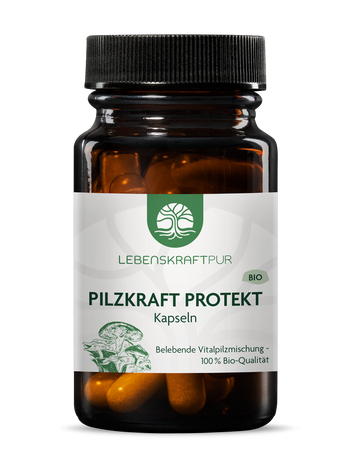 Produktbild Bio Pilzkraft Protekt Kapseln