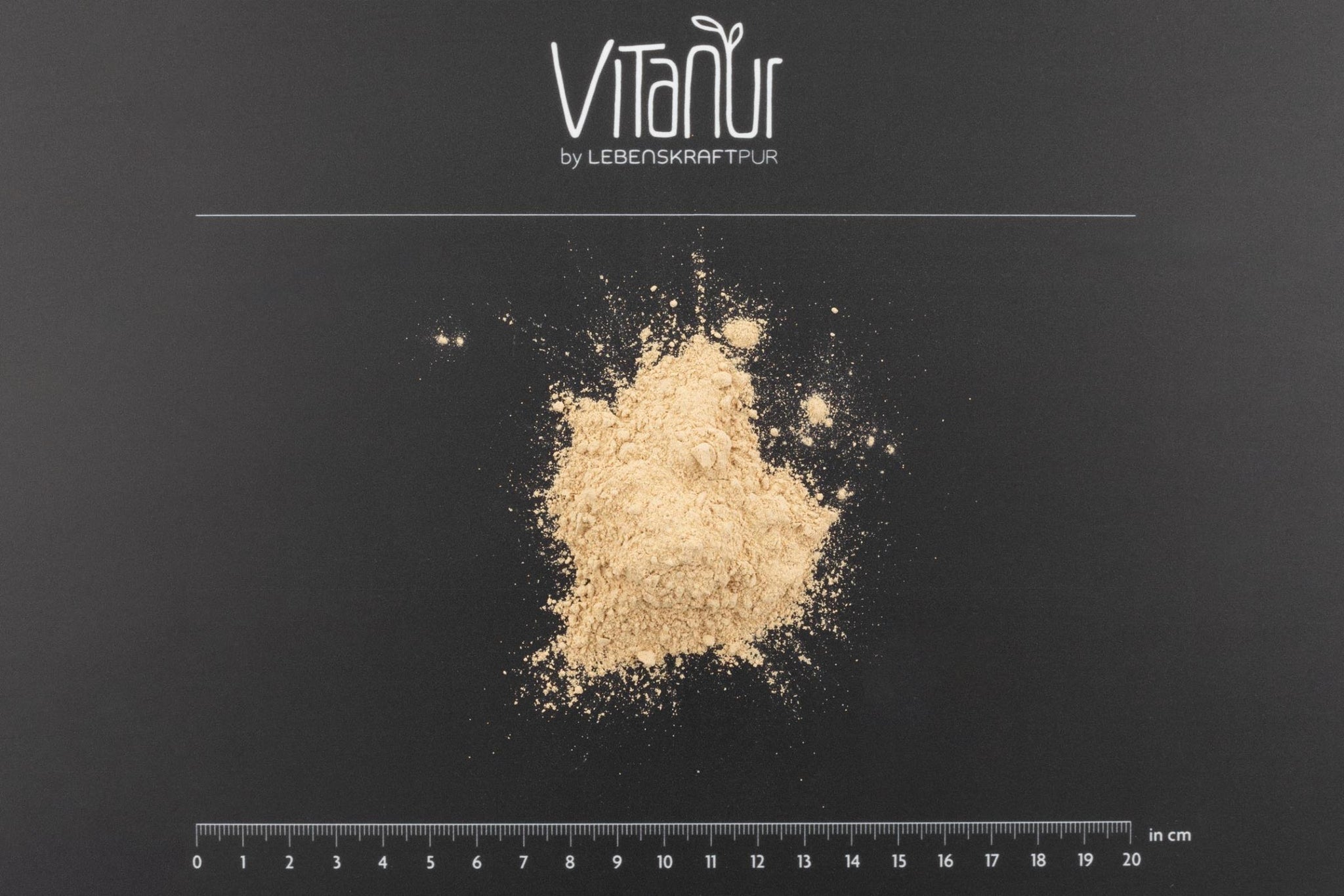 Produktbild Bio Protein Vegan Pulver