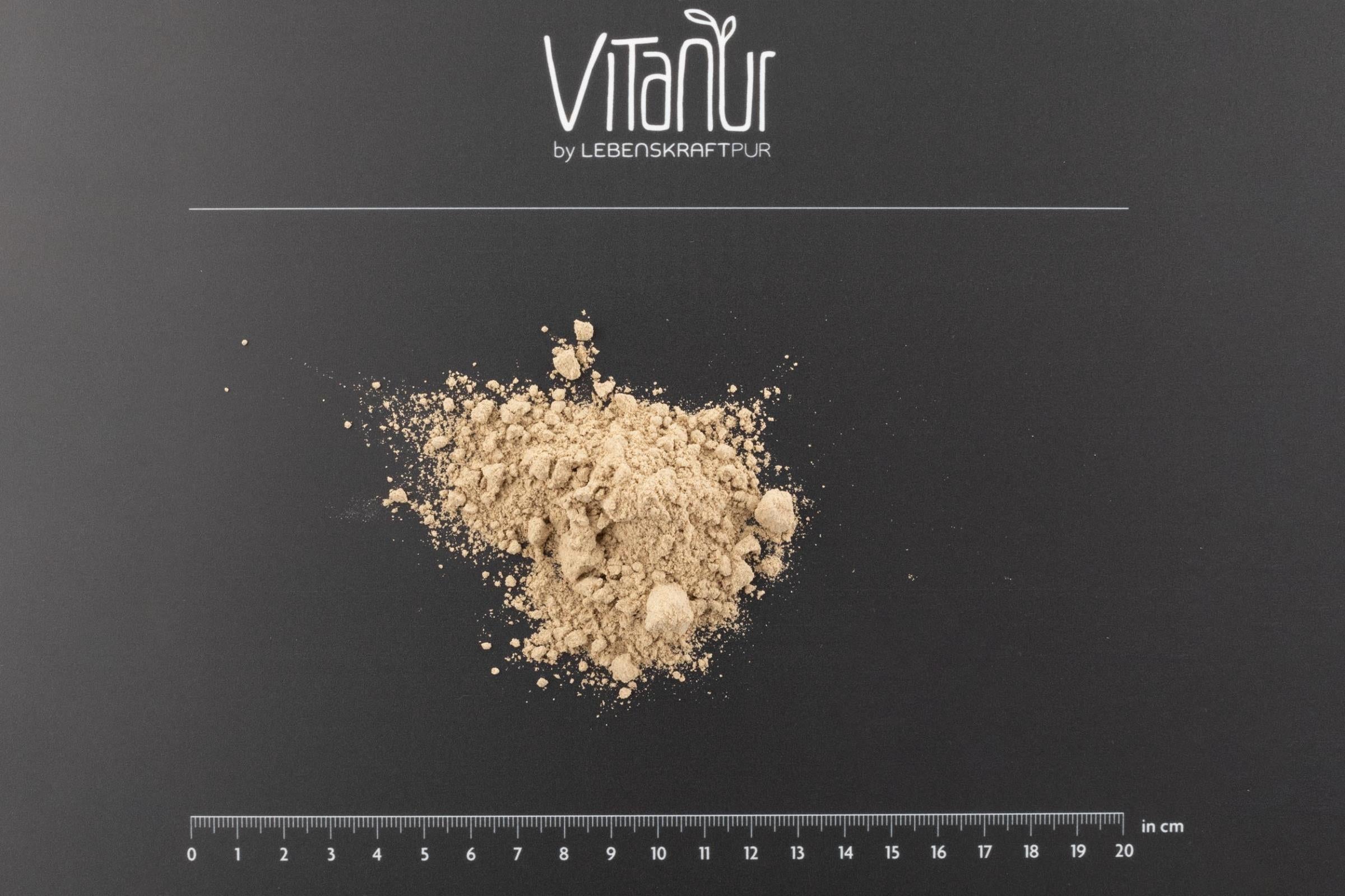Produktbild Bio Protein Vegan Plus Pulver