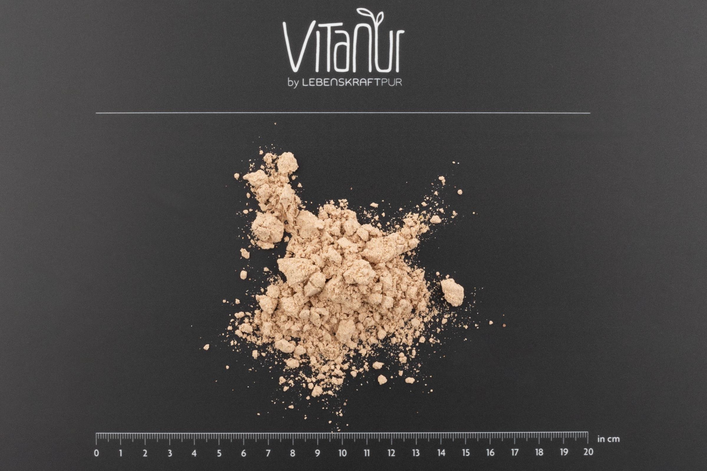 Produktbild Bio Protein Vegan Dunkle Schokolade Pulver