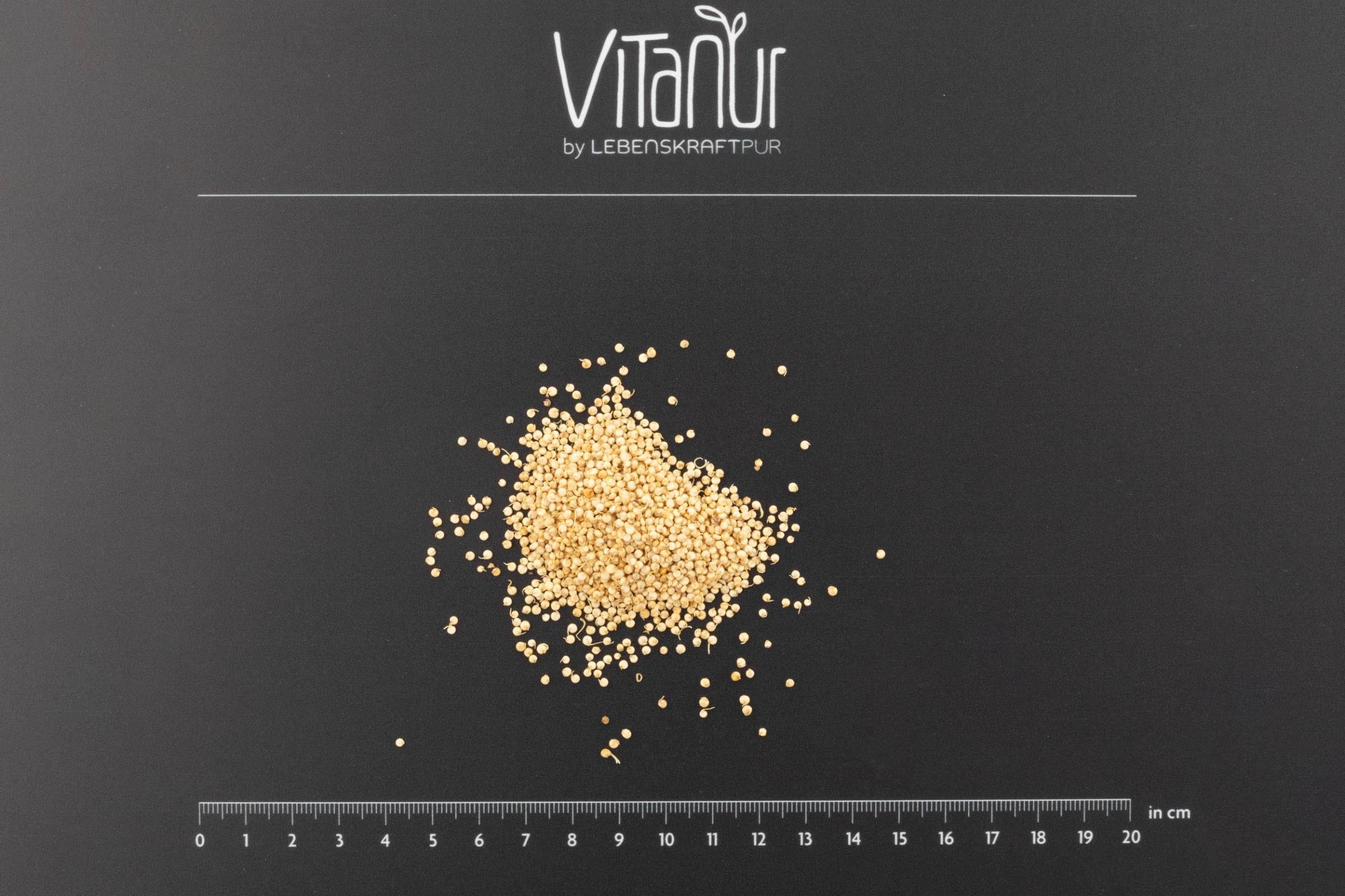 Produktbild Bio Quinoa Gekeimt