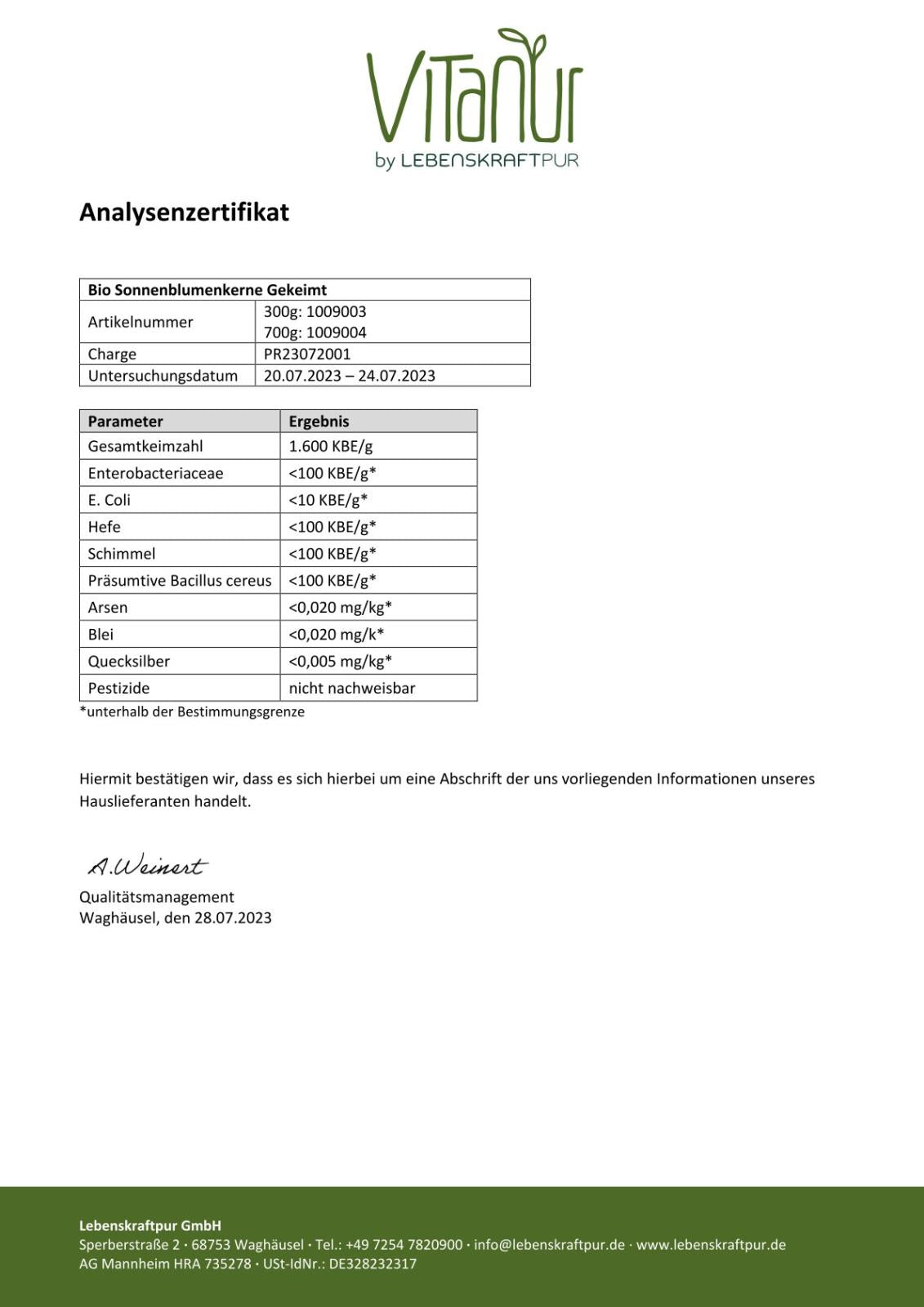 Produktbild Bio Sonnenblumenkerne Gekeimt