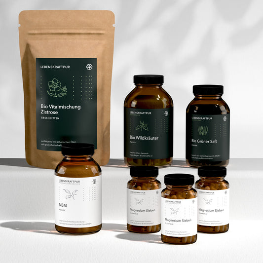 Box zum Kurs: Die 12 Säulen der Entgiftung von bio360