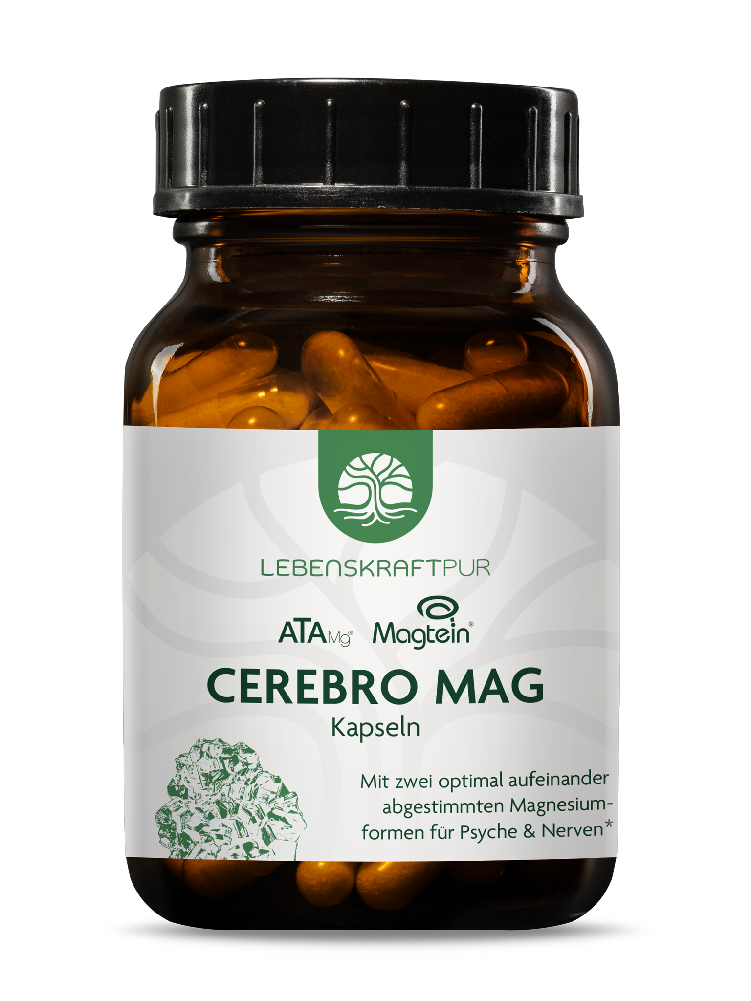 Cerebro Mag Kapseln