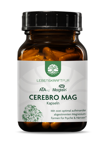 Cerebro Mag Kapseln