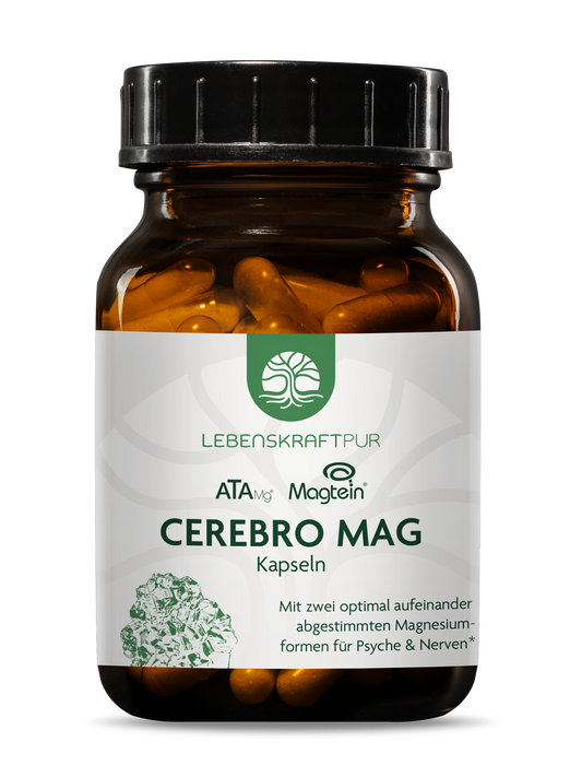 Cerebro Mag Kapseln