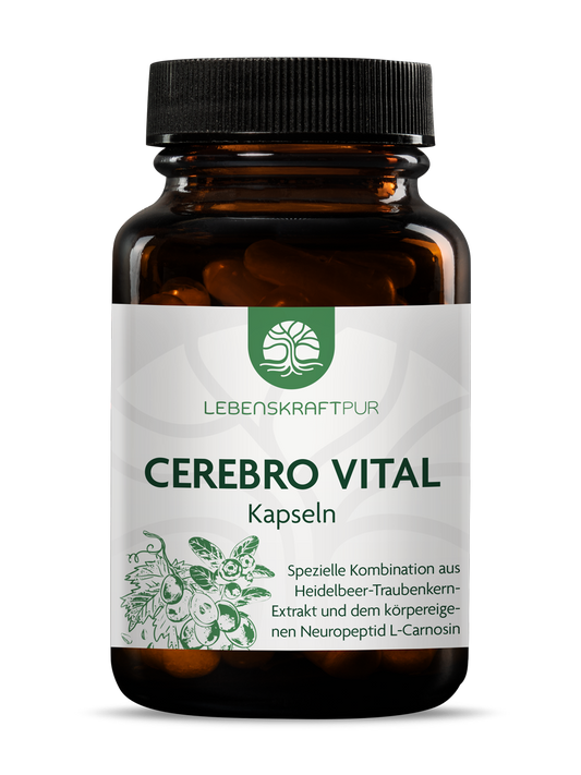 Produktbild Cerebro Vital Kapseln