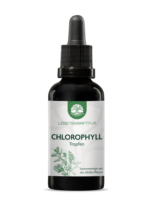 Produktbild Chlorophyll Tropfen