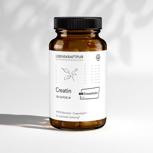 Creatin Kapseln