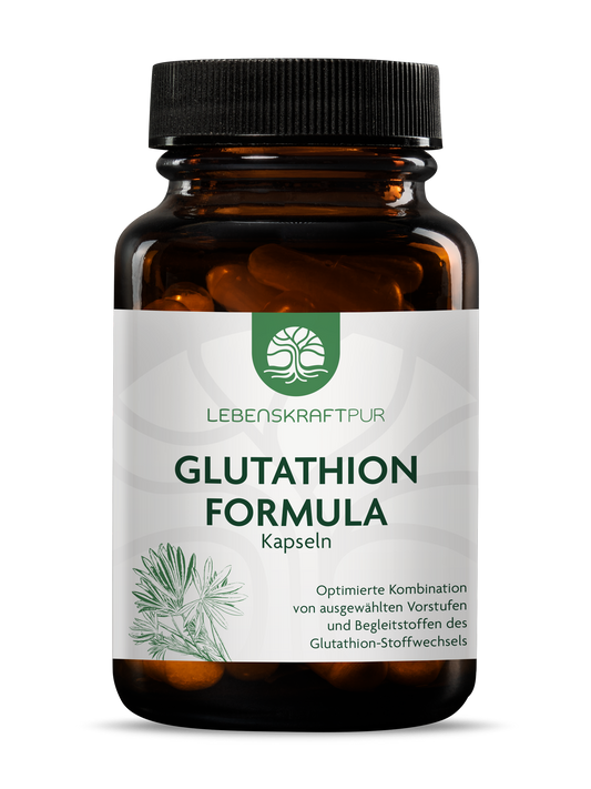 Glutathion Formula Kapseln