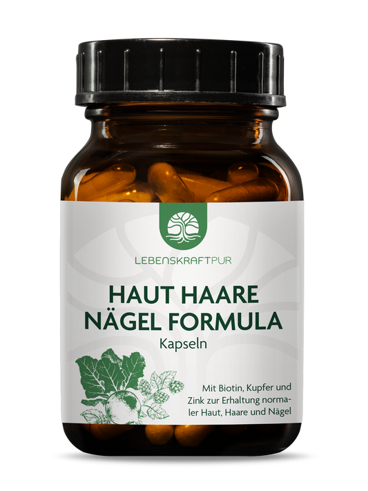 Produktbild Haut Haare Nägel Formula Kapseln