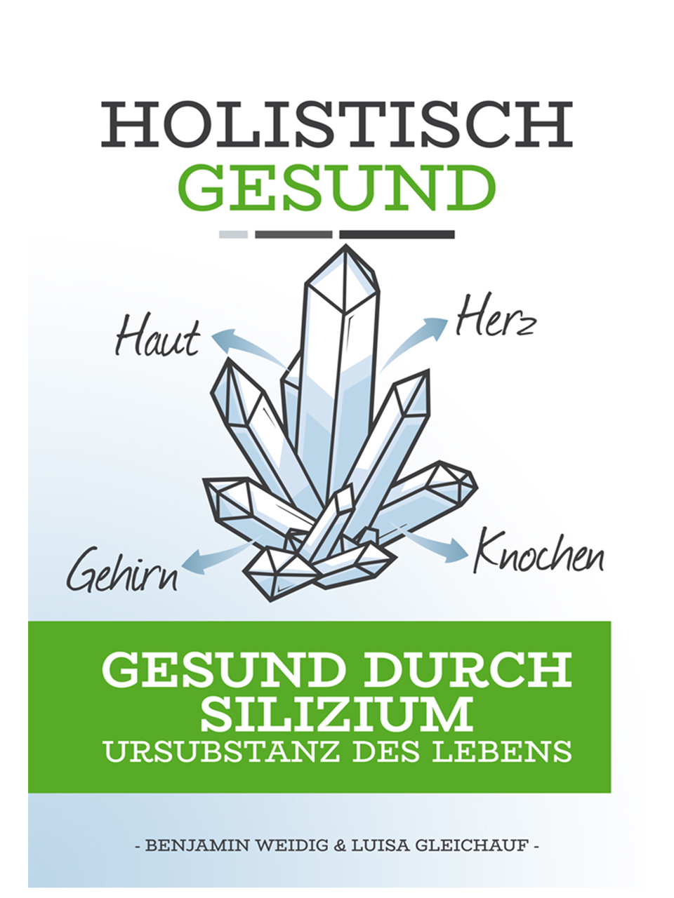Holistisch Gesund: Gesund durch Silizium