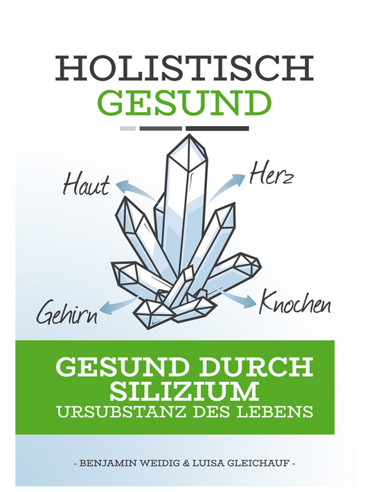Produktbild Holistisch Gesund: Gesund durch Silizium