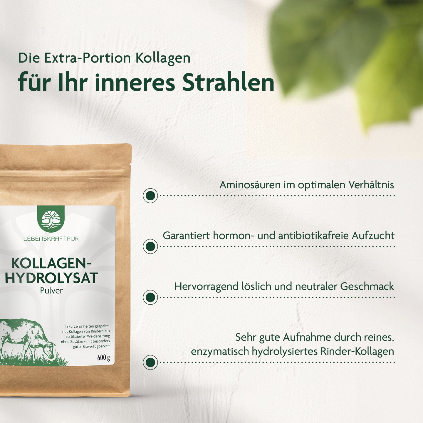 Produktbild Kollagenhydrolysat Pulver