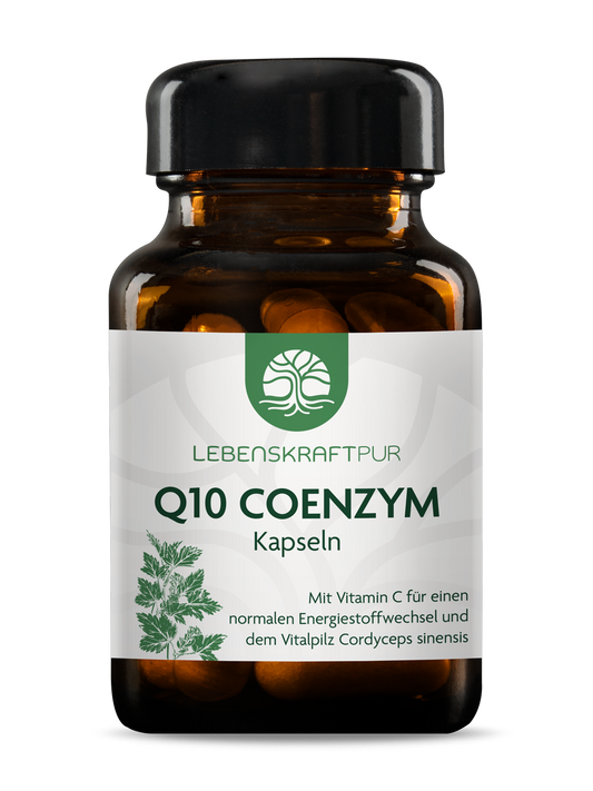 Produktbild Q10 Coenzym Kapseln