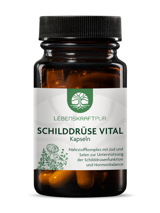 Produktbild Schilddrüse Vital Kapseln