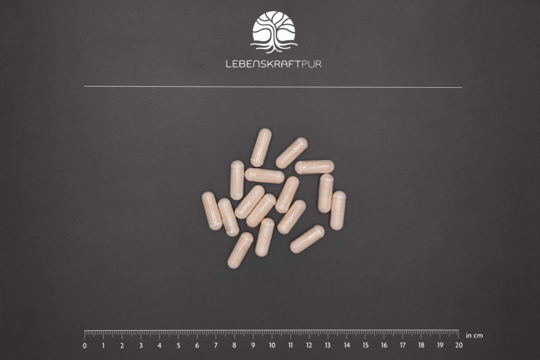 Produktbild Lactoferrin Kapseln
