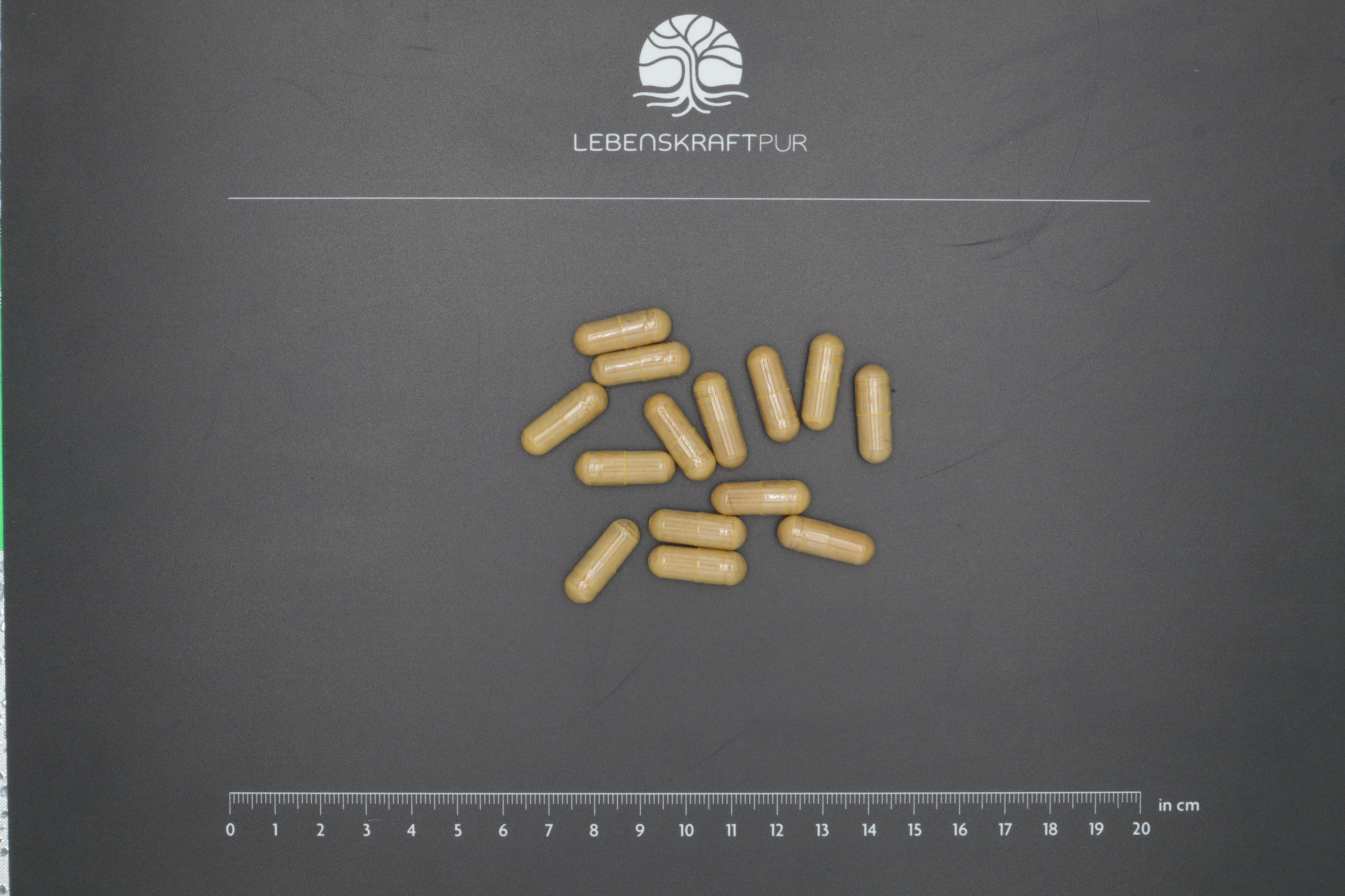 Produktbild Leber Galle Vital Kapseln