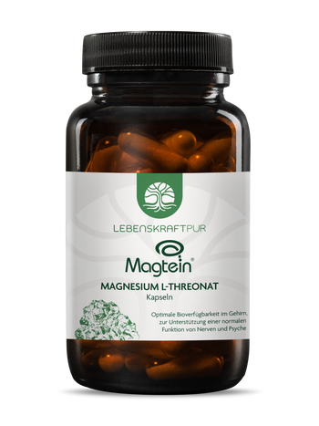Magtein® Magnesium L-Threonat Kapseln