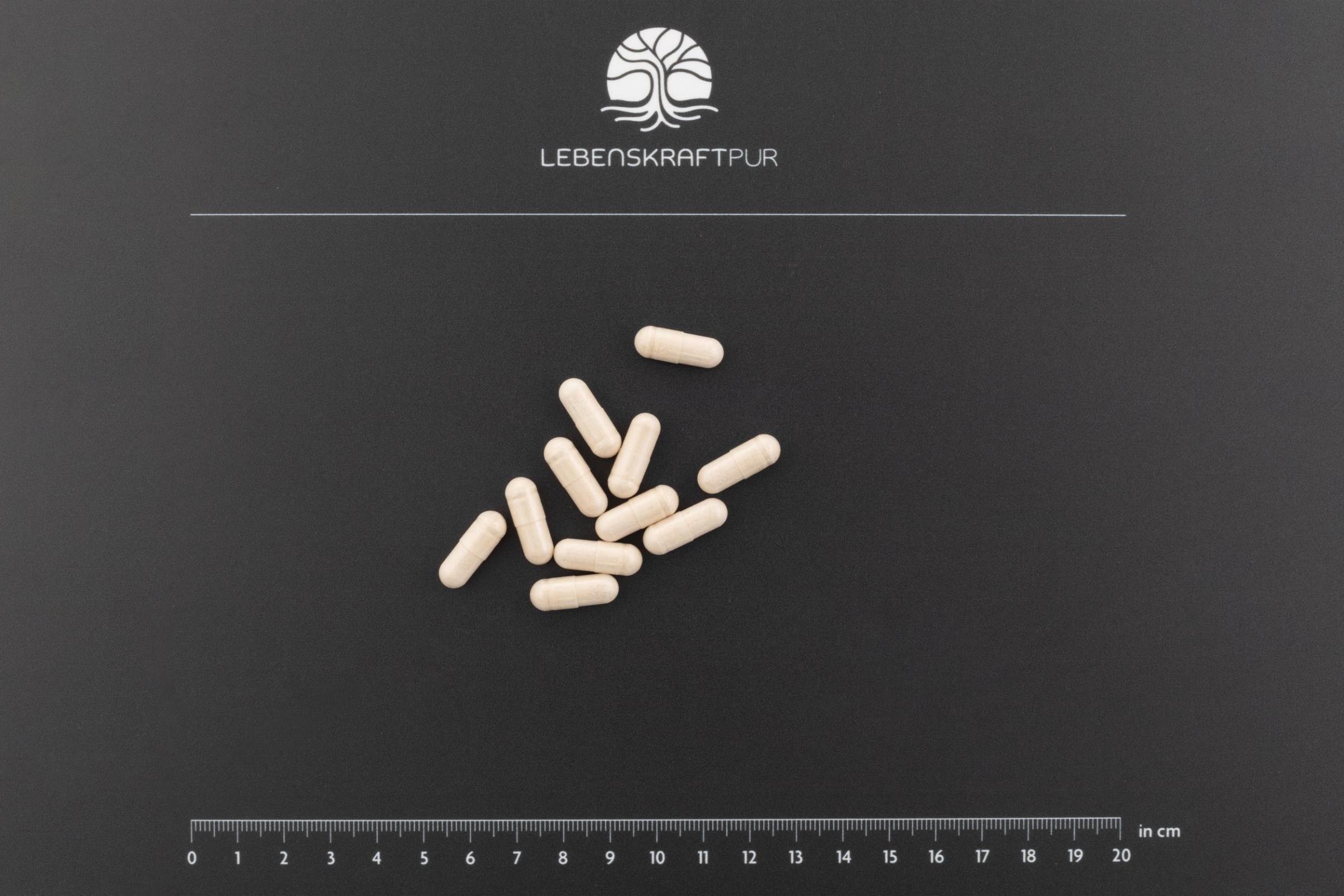 Produktbild Mental Balance Kapseln