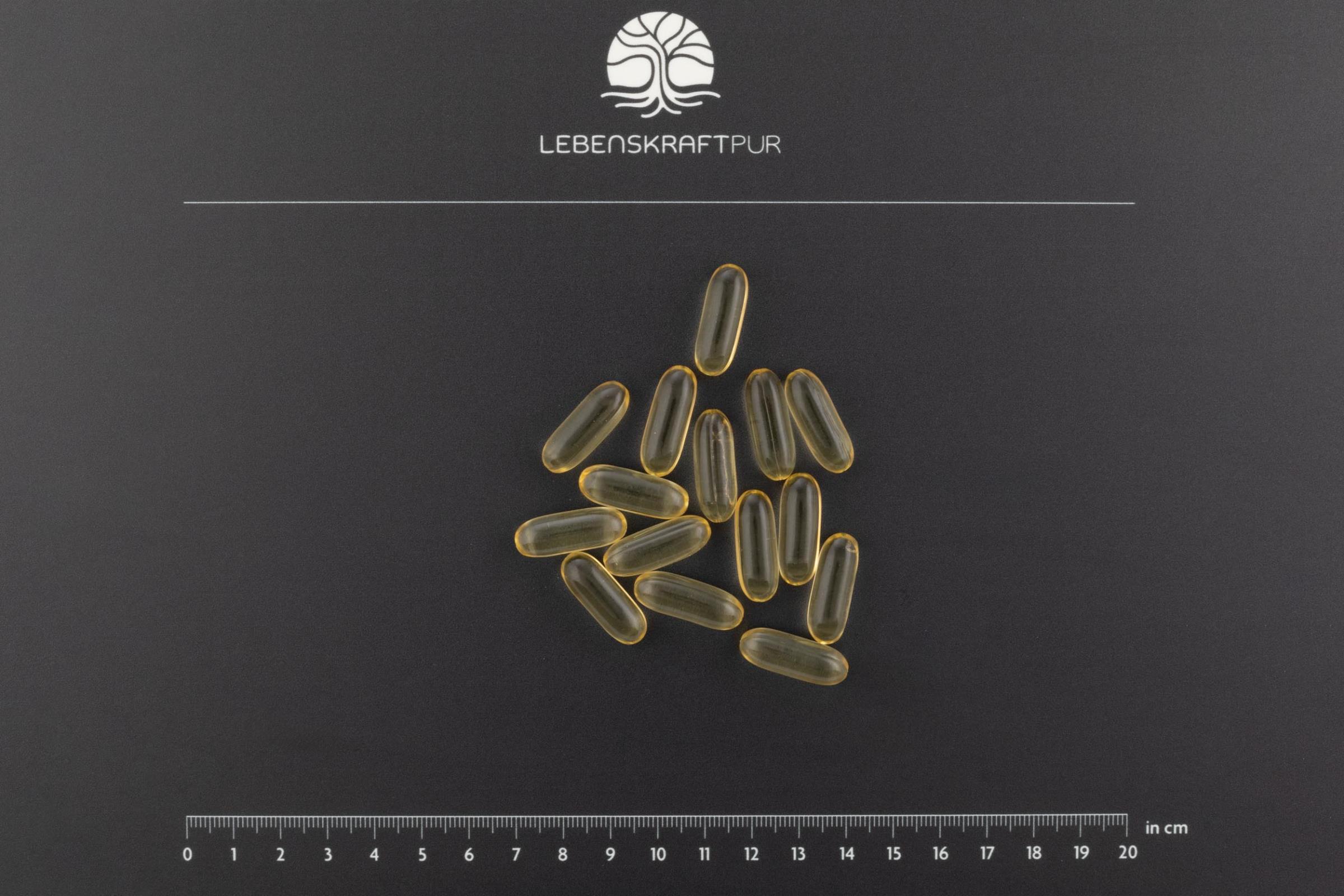 Produktbild Omega 3 Vegan Kapseln