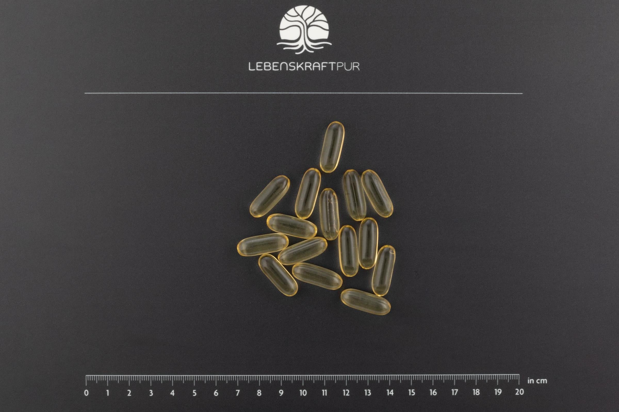 Produktbild Omega 3 Vegan Kapseln
