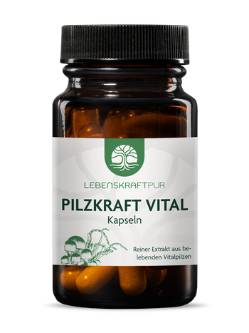 Produktbild Pilzkraft Vital Kapseln