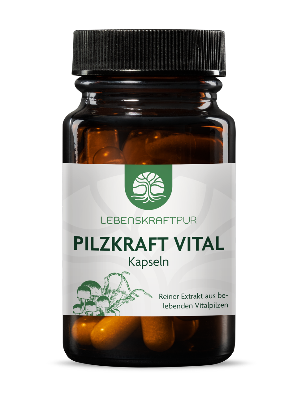 Produktbild Pilzkraft Vital Kapseln