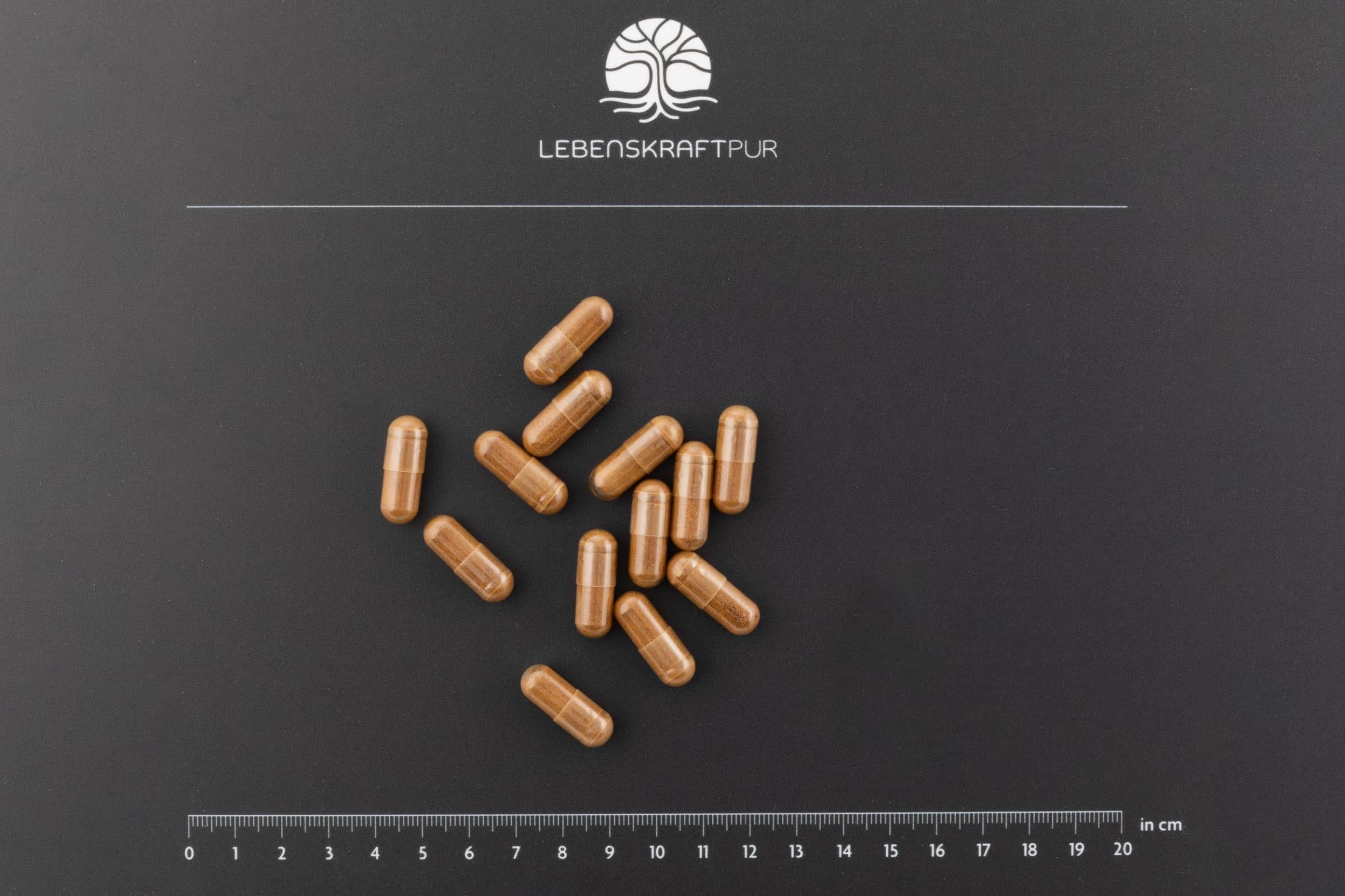Produktbild Pilzkraft Vital Kapseln