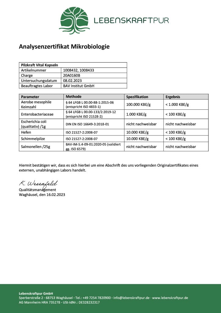 Produktbild Pilzkraft Vital Kapseln
